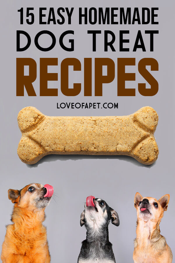 15 Easy Homemade Dog Treat Recipes