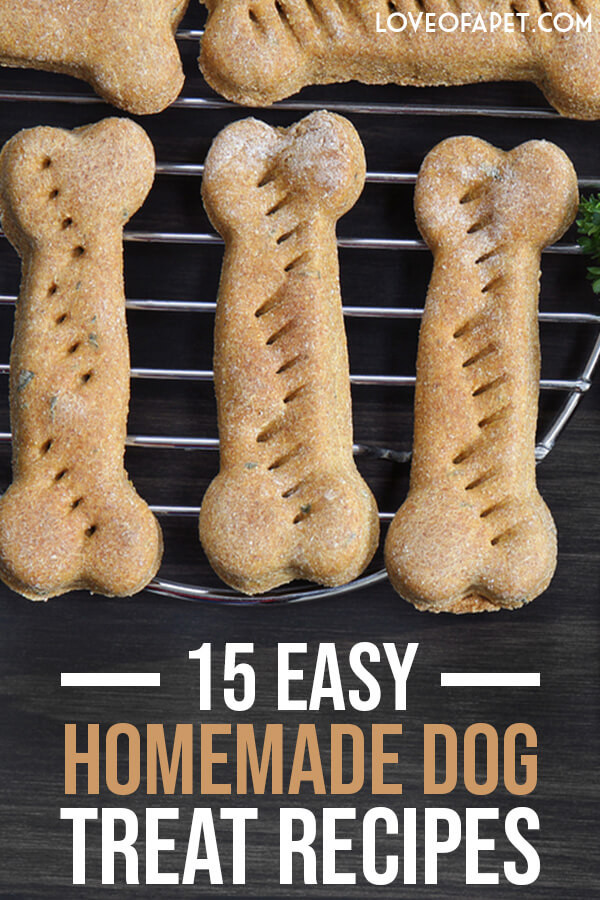 15 Simple Homemade Dog Treat Recipes