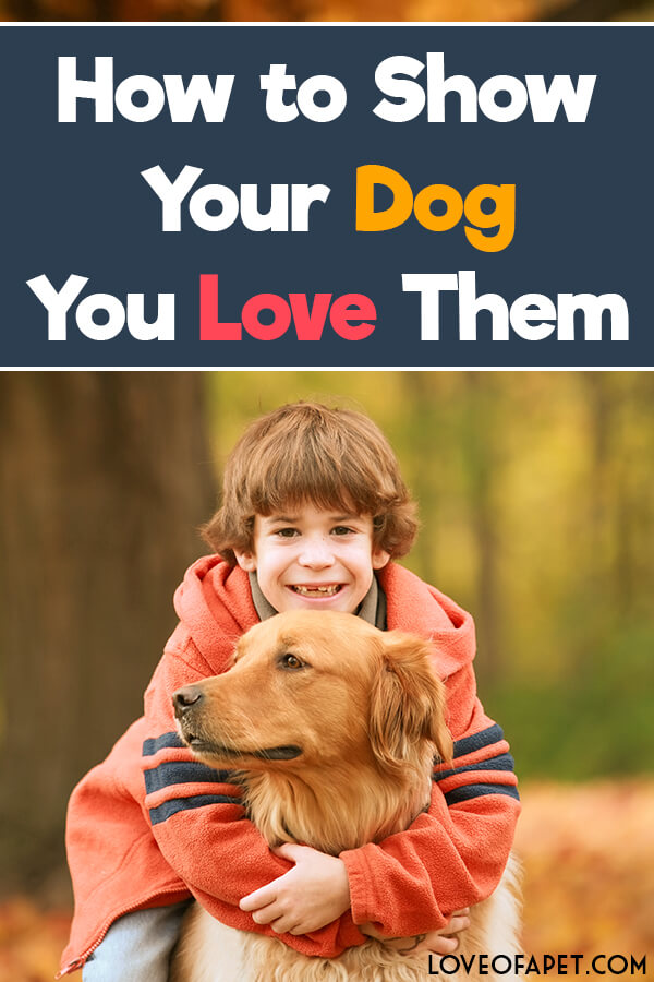 How to Show Your Dog You Love Them: 10 Way