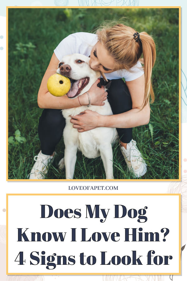 Does My Dog Know I Love Him? 4 Signs to Look for