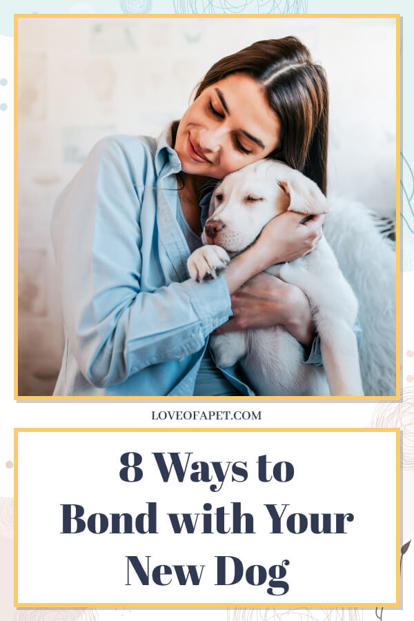 How to Bond with Your New Dog in 8 Easy Steps