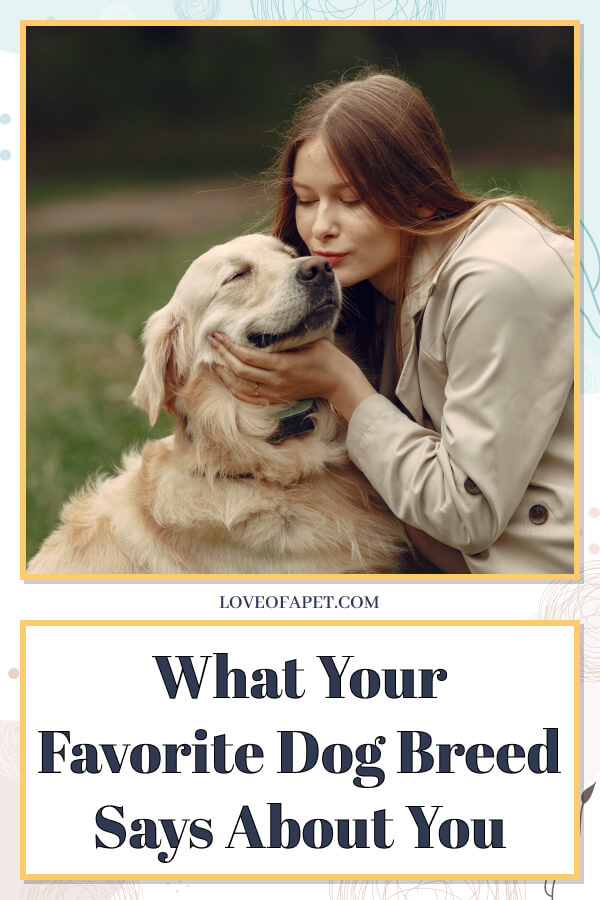 What Your Favorite Dog Breed Says About You