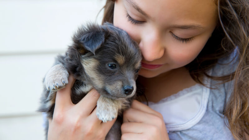 Health Concerns in Teacup Puppies