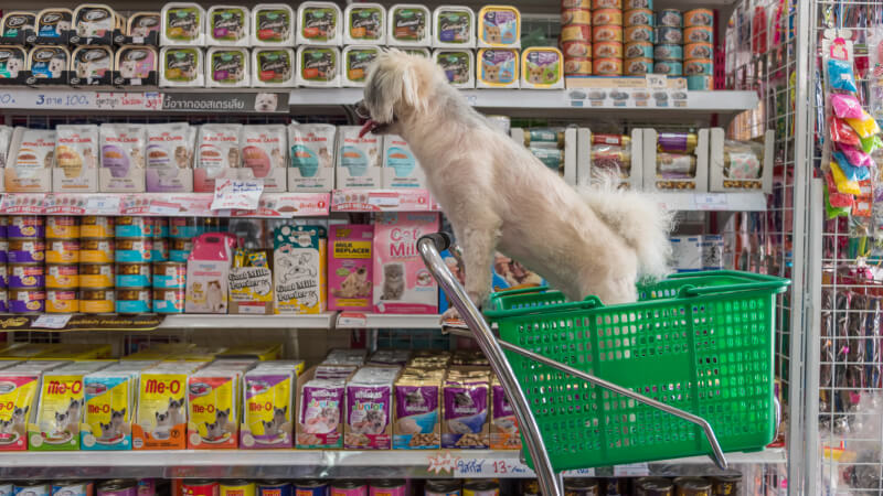 Decoding Dog Food Labels: What’s Really in Your Dog’s Bowl?